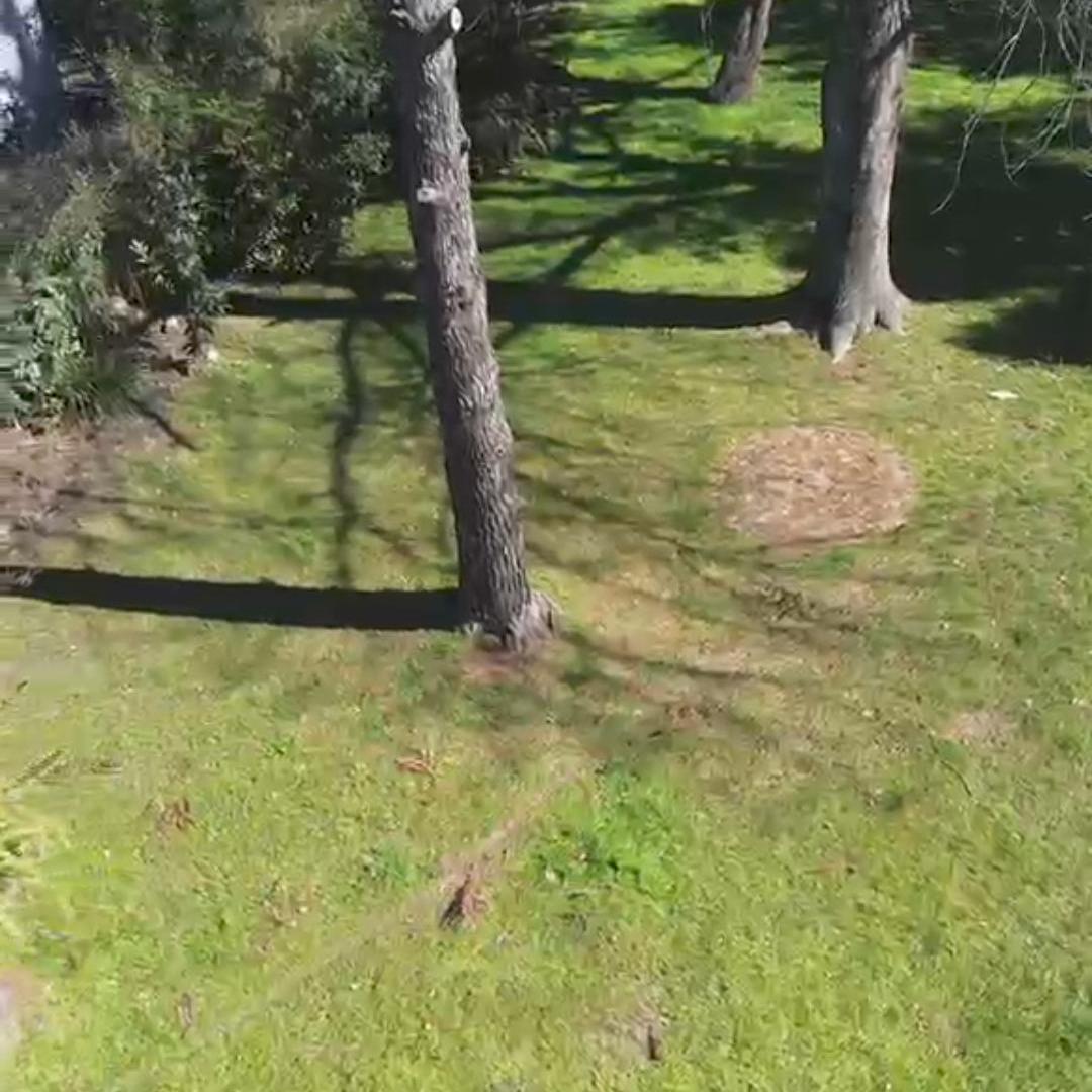 Foto de LOTE EN VENTA - ANTICIPO Y CUOTAS - DEL VISO, imagen 2