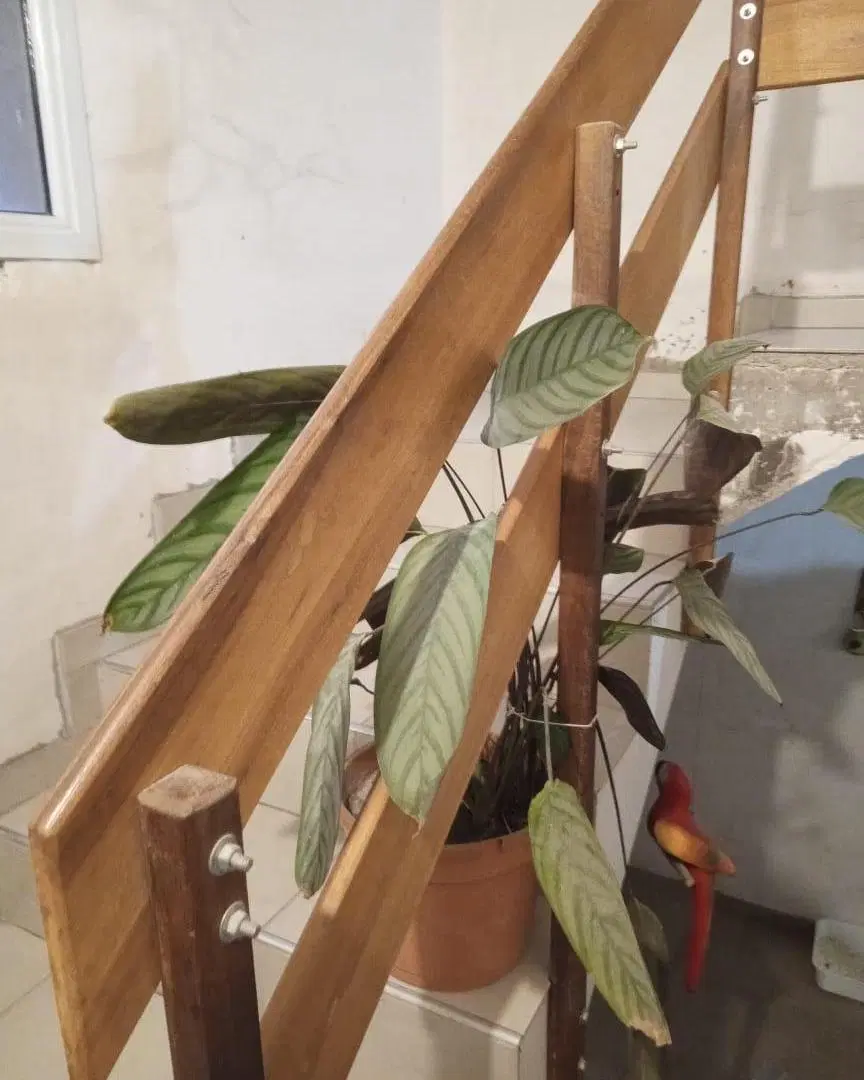 Casa en Villa Del Prado - La Donosa 2