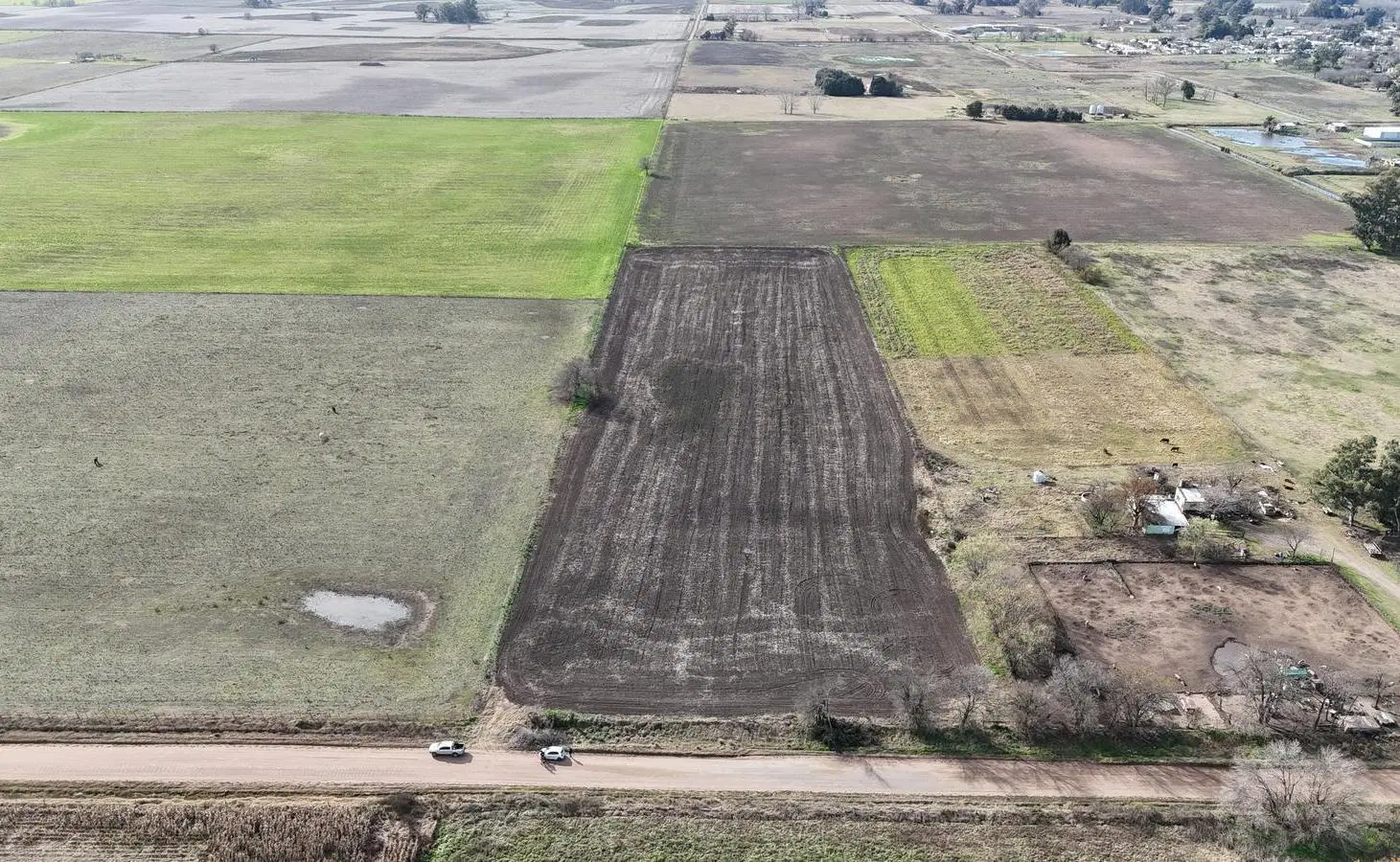 Campo en Henderson - calle Gover Pla 3