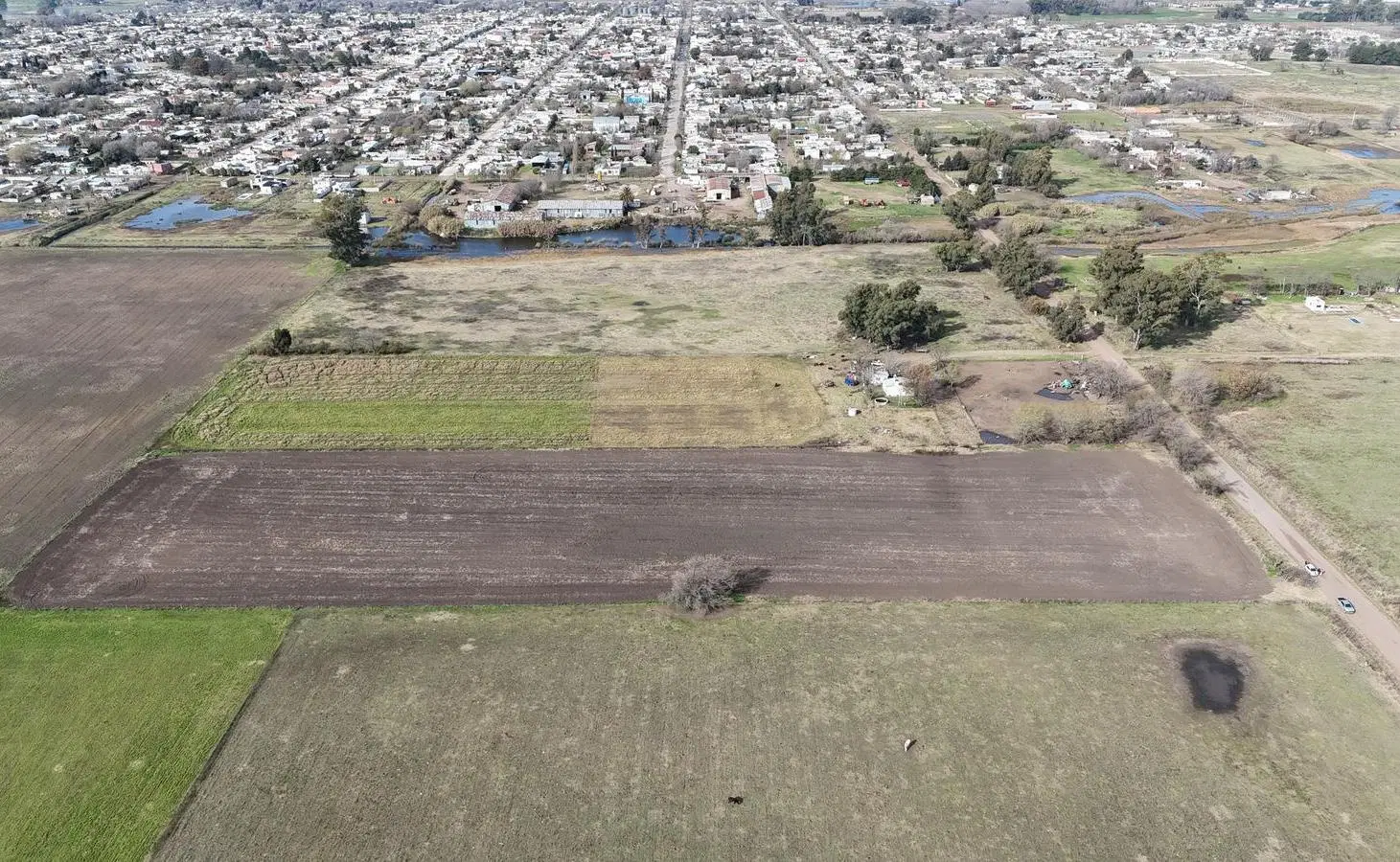 Campo en Henderson - calle Gover Pla 4