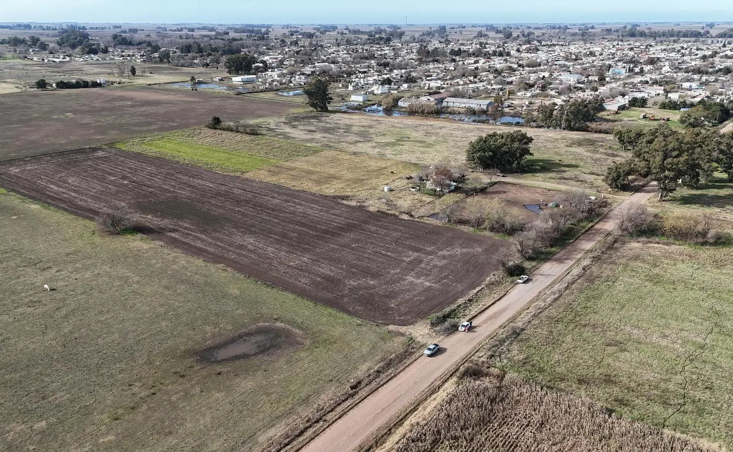 Campo en Henderson - calle Gover Pla 5