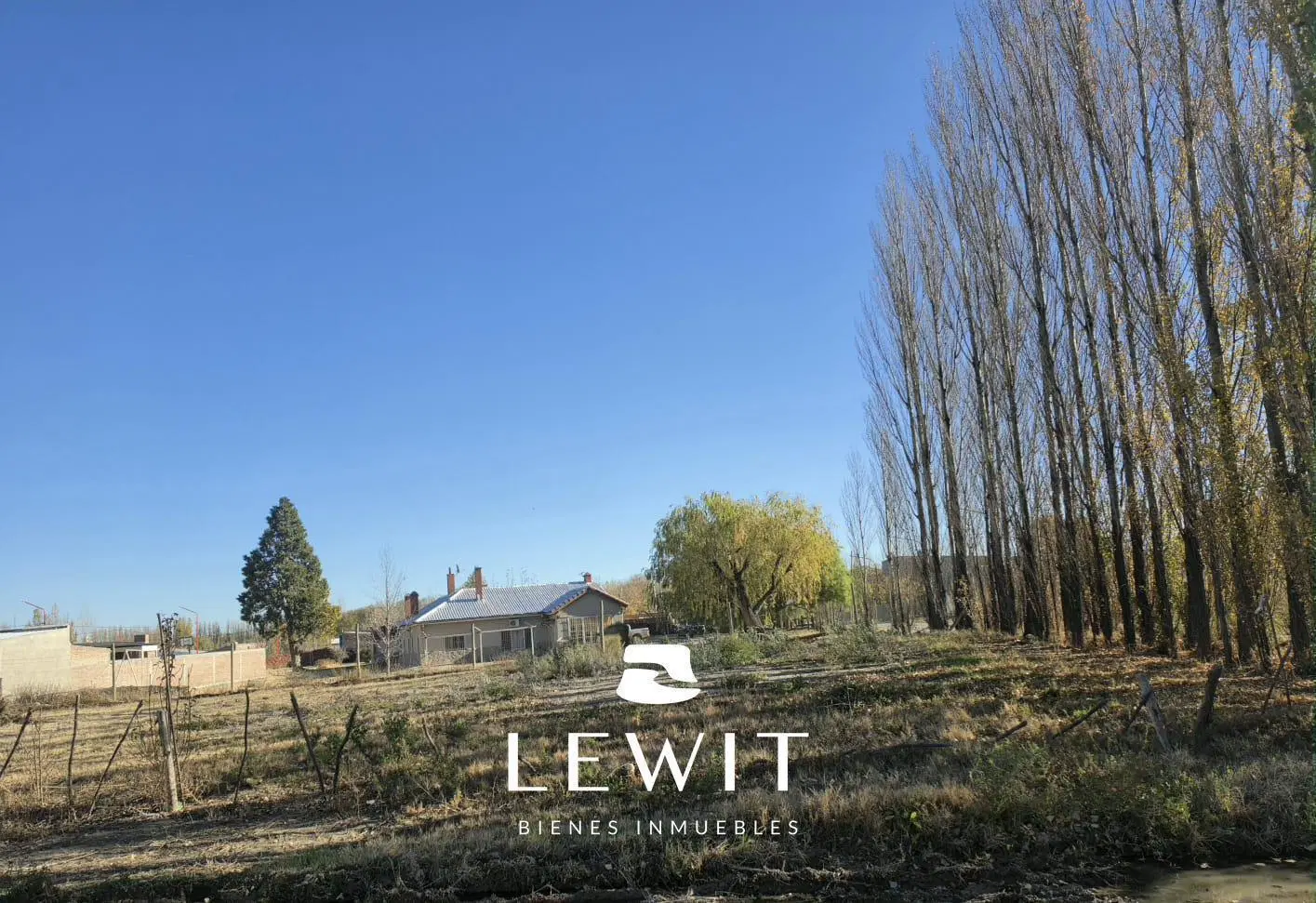 Venta Terreno en Loteo Vidal / Cinco Saltos / 395m2 en esquina 3