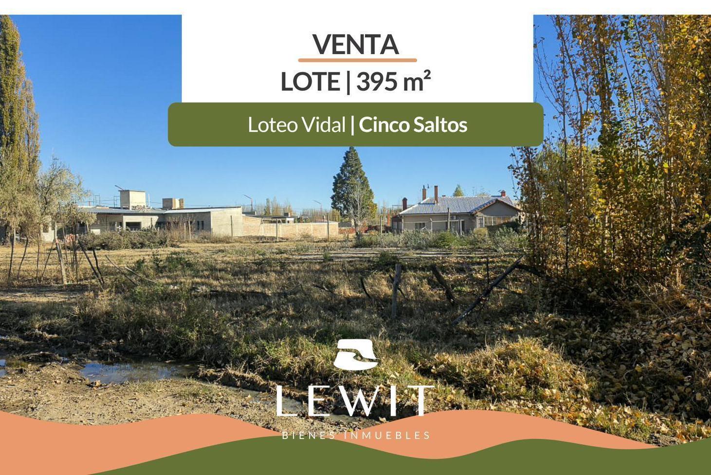 Foto de Venta Terreno en Loteo Vidal / Cinco Saltos / 395m2 en esquina, imagen 4