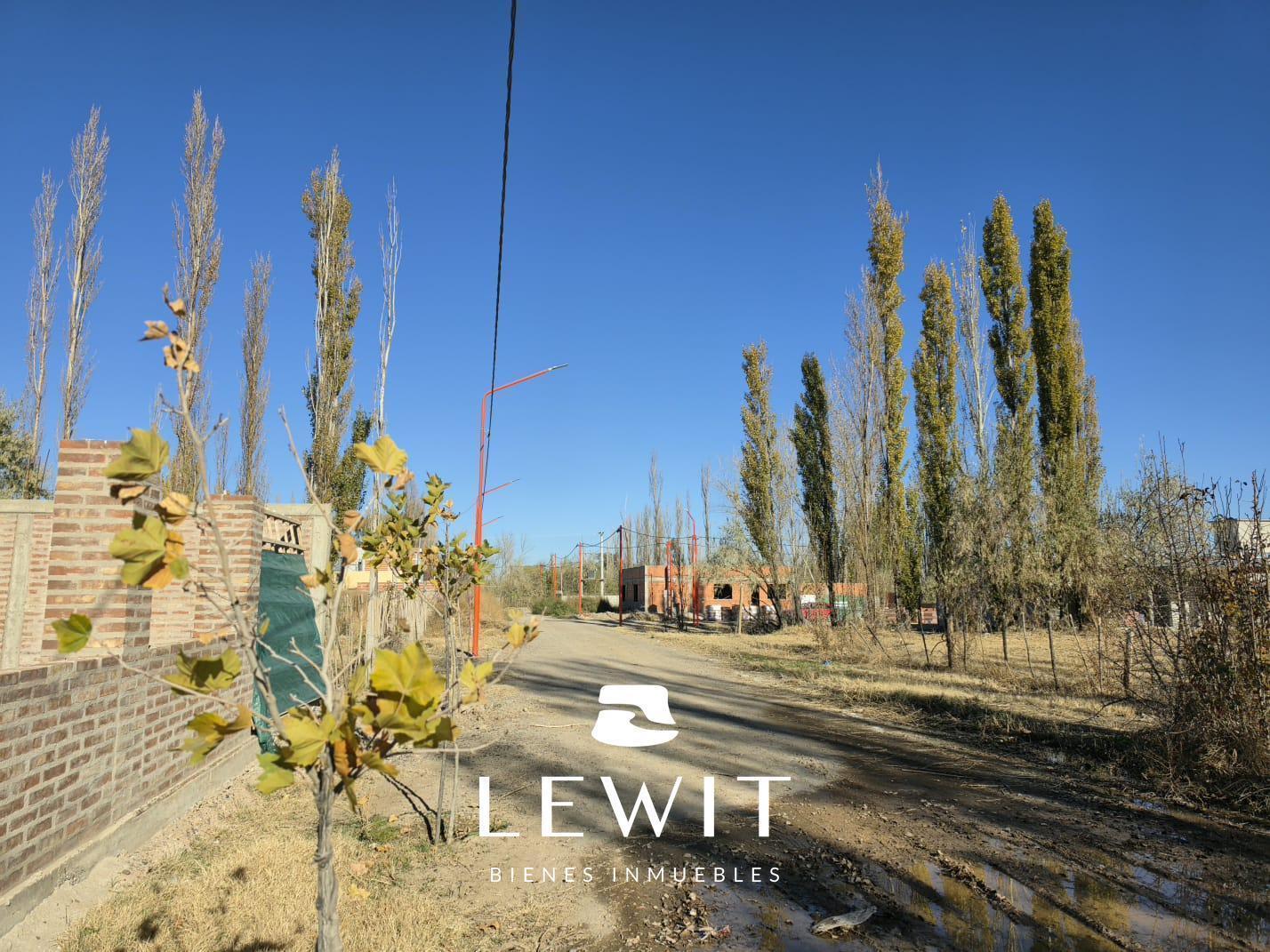 Venta Terreno en Loteo Vidal / Cinco Saltos / 395m2 en esquina