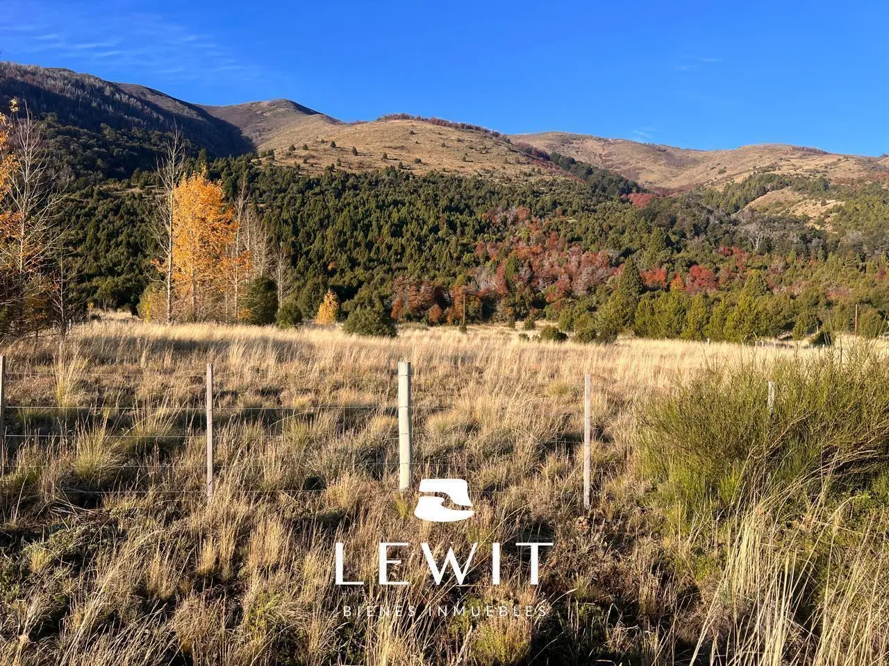 Venta terreno | Lote 3060 m² | Escritura inmediata | Lago Lolog 1
