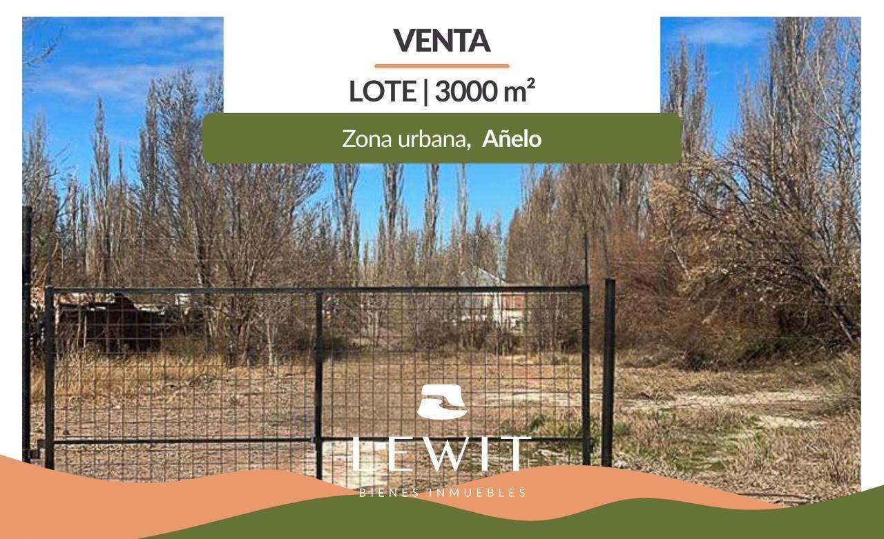 Foto de Venta terreno | lote 3000 m² | zona centro Añelo | Neuquen, imagen 1