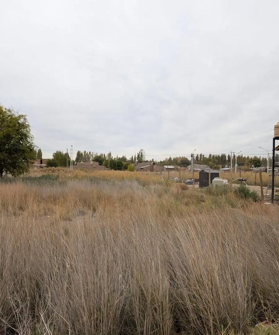 Terreno en Plottier 3