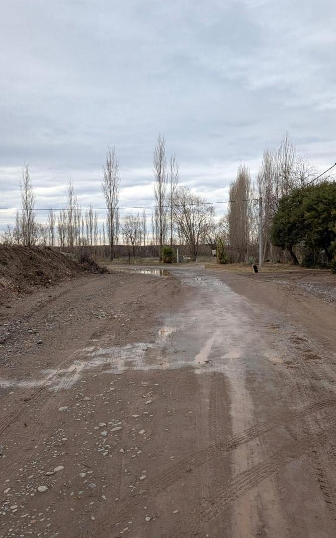 Foto de Terreno de 3,5 Ha. en paraje 15 entre Barda del Medio Contralmirante Cordero, imagen 2