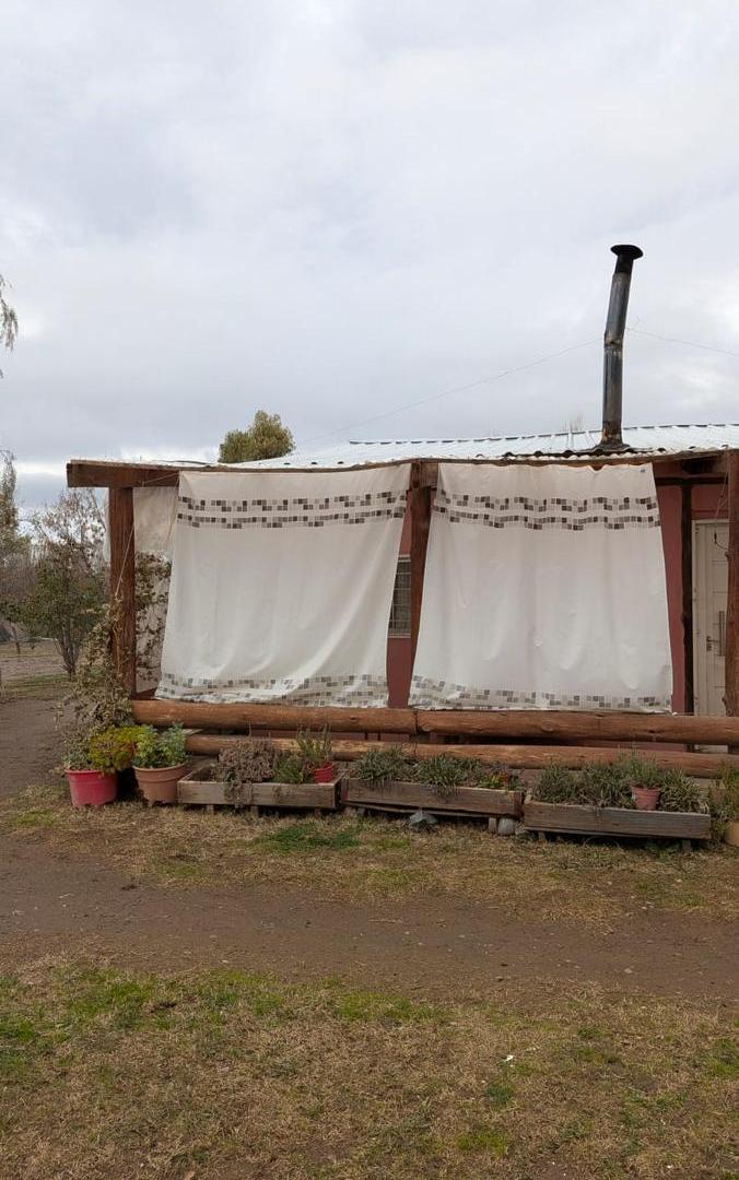 Foto de Terreno de 3,5 Ha. en paraje 15 entre Barda del Medio Contralmirante Cordero, imagen 5