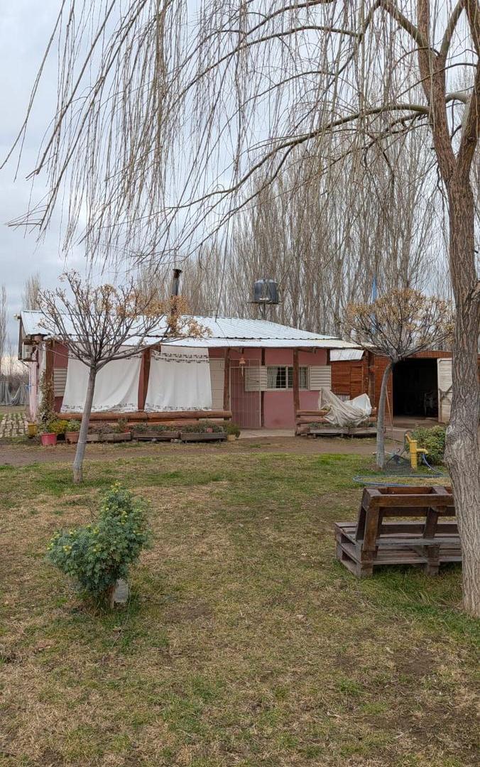 Foto de Terreno de 3,5 Ha. en paraje 15 entre Barda del Medio Contralmirante Cordero, imagen 1