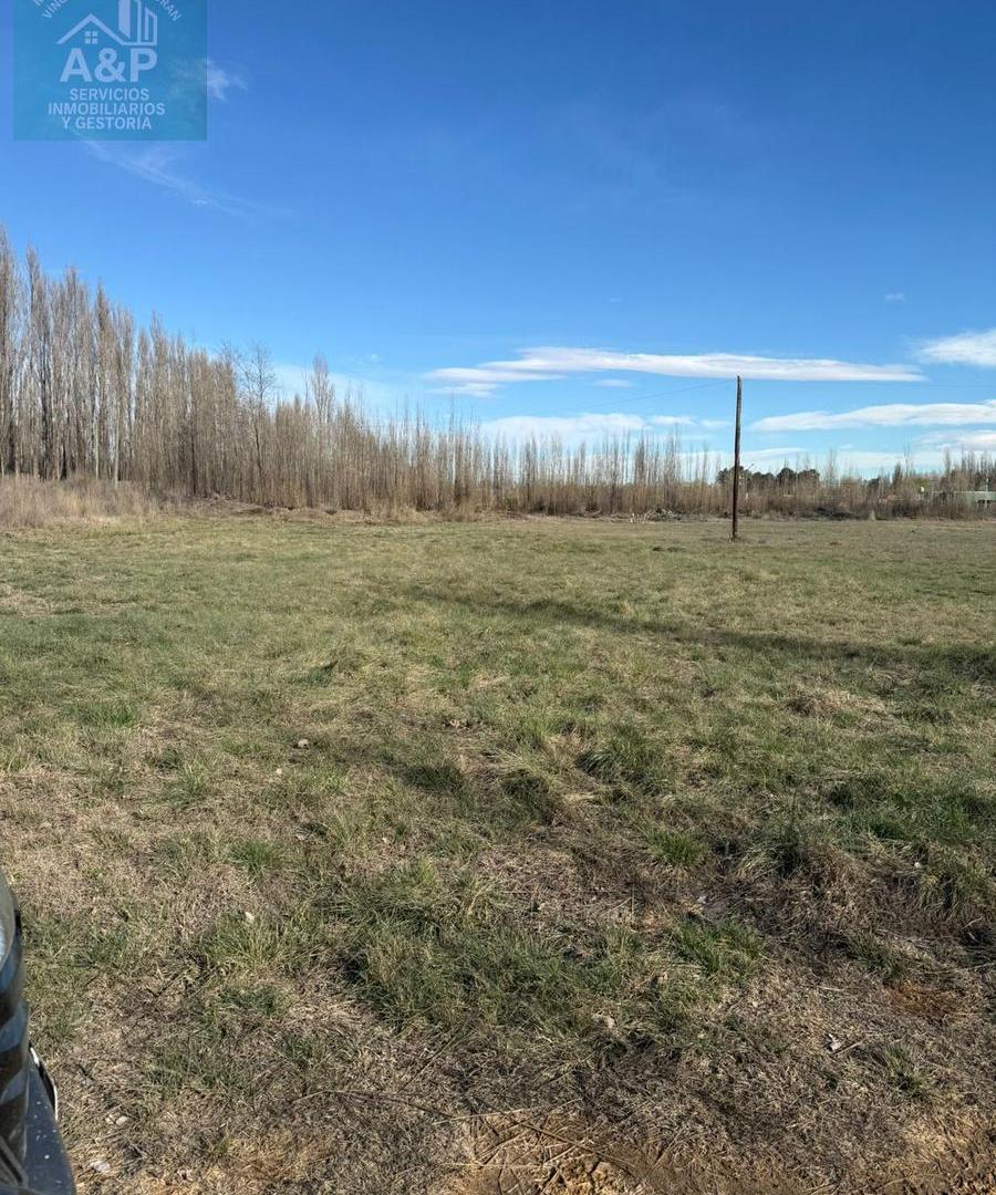Foto de Terreno en Plottier, imagen 1