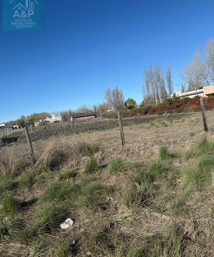 Foto de VENTA DE TERRENO EN CALLE SIMONE DE PLOTTIER, imagen 2