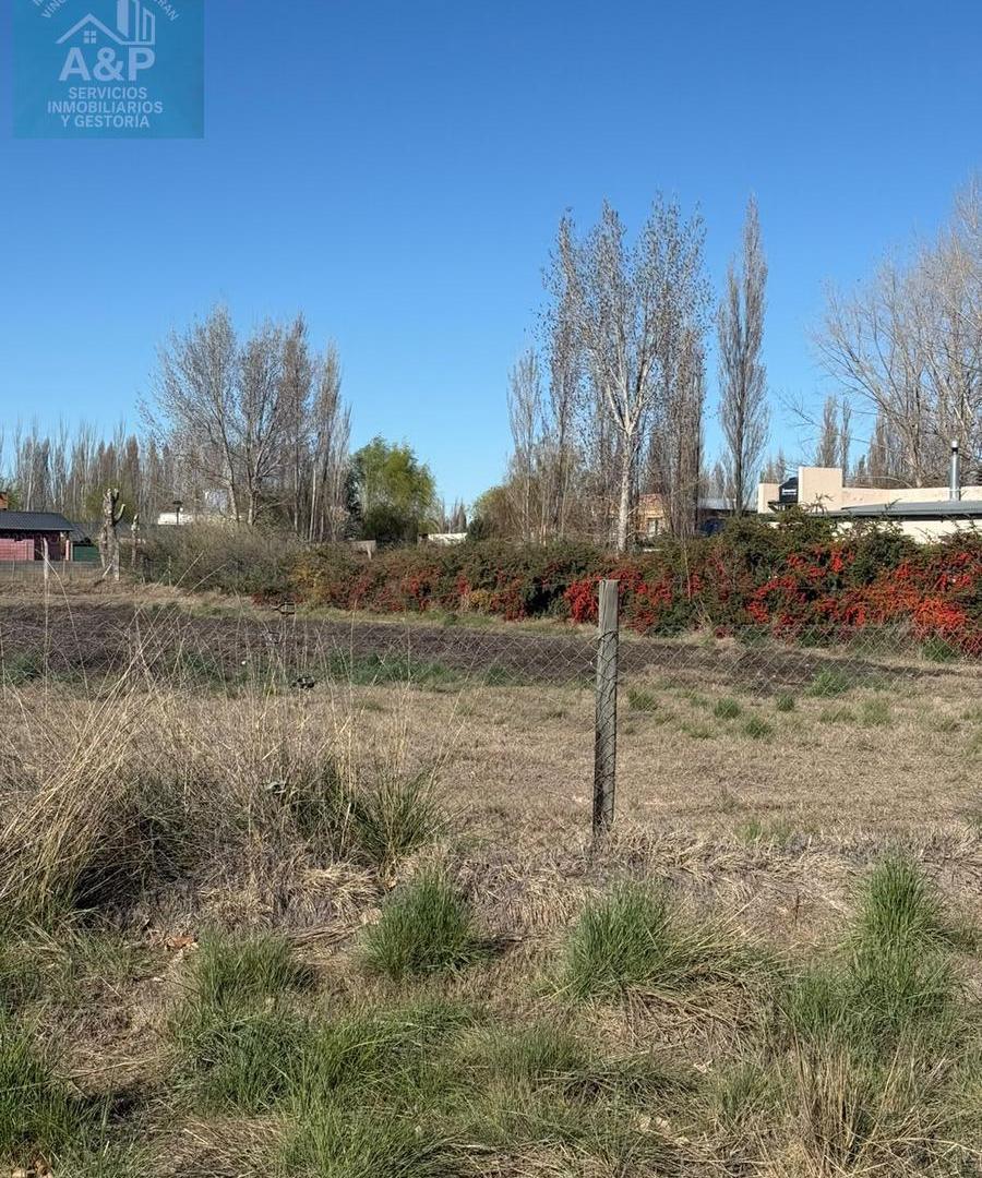 Foto de VENTA DE TERRENO EN CALLE SIMONE DE PLOTTIER, imagen 4