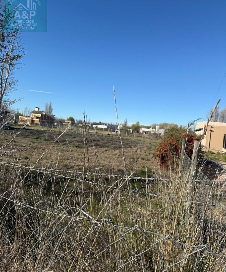 Foto de VENTA DE TERRENO EN CALLE SIMONE DE PLOTTIER, imagen 3