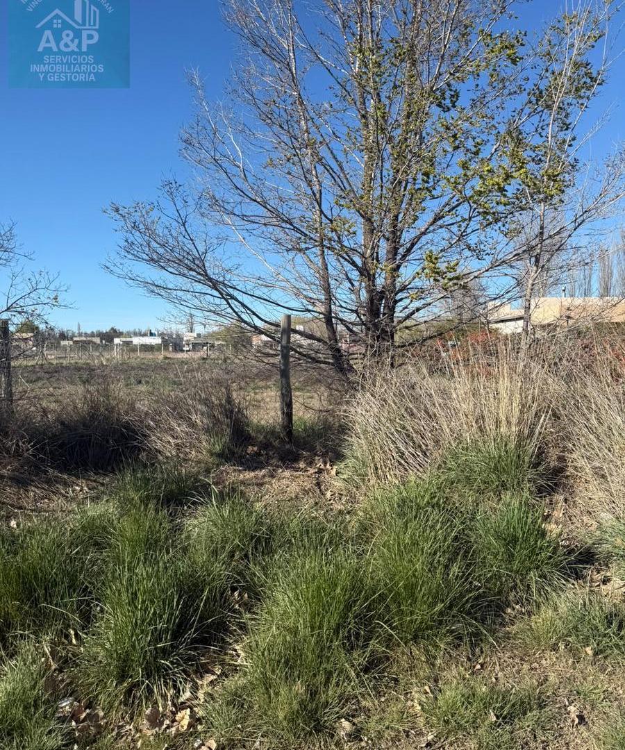 Foto de VENTA DE TERRENO EN CALLE SIMONE DE PLOTTIER, imagen 5