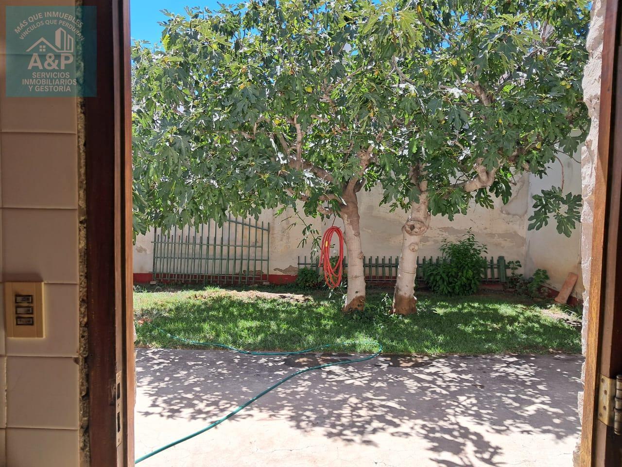 Foto de Casa en venta Alcina 1235 General Roca, imagen 4