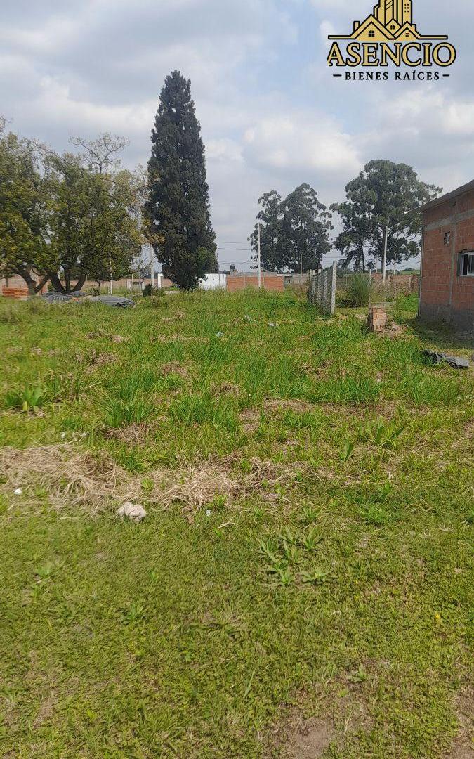Foto de VENDO TERRENO, imagen 3