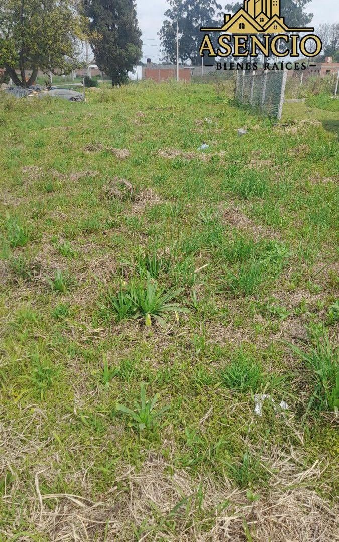 Foto de VENDO TERRENO, imagen 5
