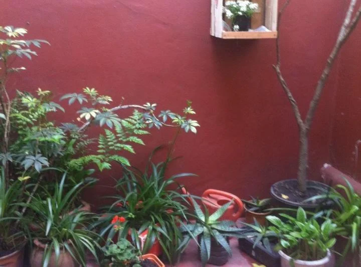PH. contrafrente, con patio,  lavadero techado. baño completo 1