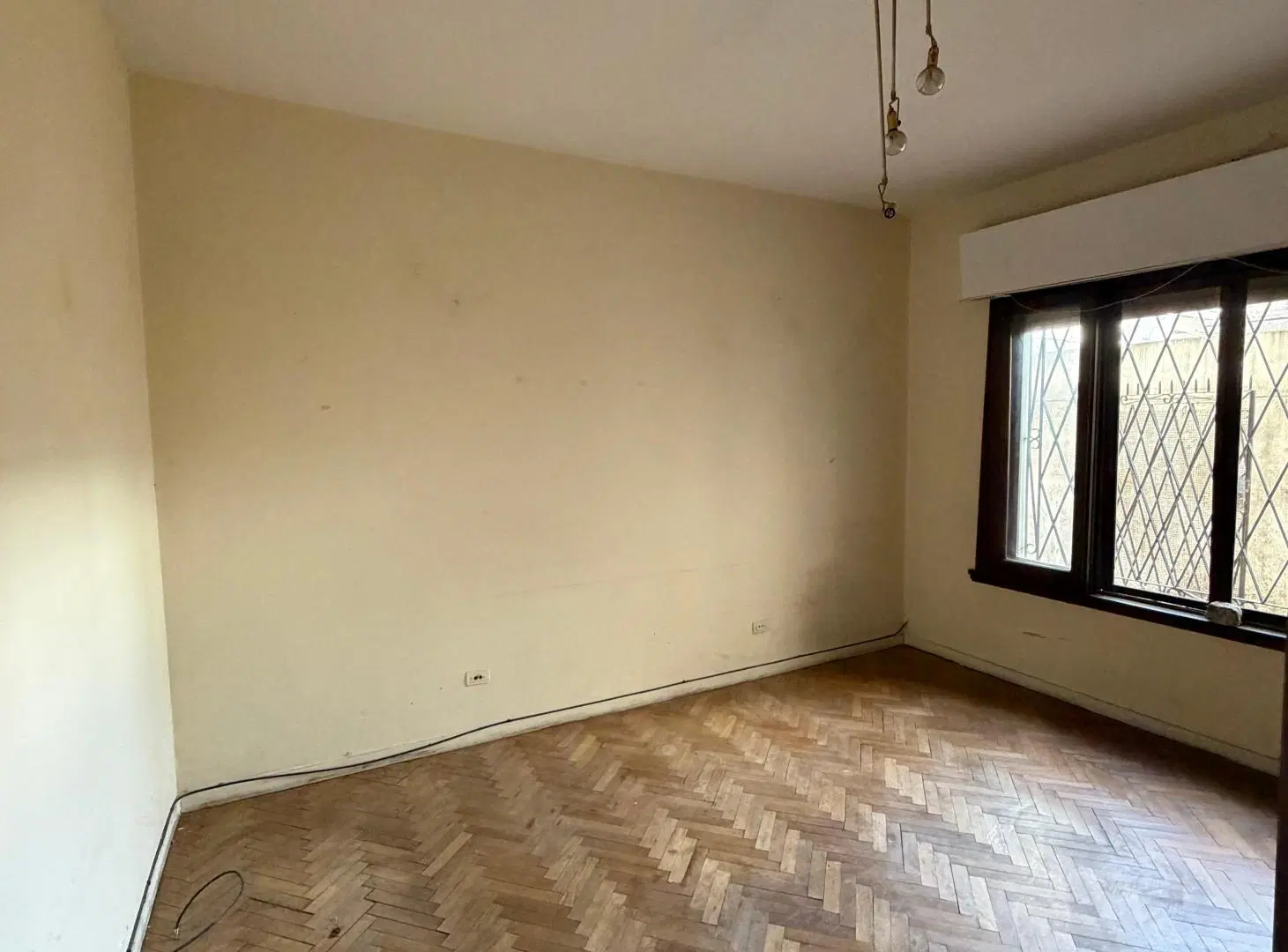 Alquiler Comercial Avenida Andrés Rolón 616/618/620 3