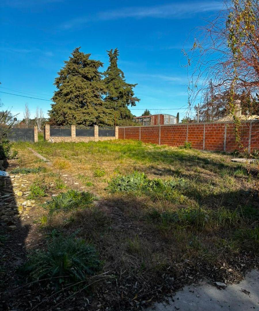Foto de Venta de propiedad en Melchor Romero. 600m2, imagen 3