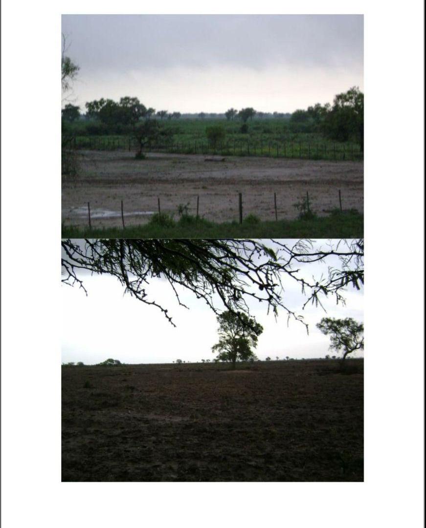 Foto de VENDO CAMPO - SOL DE JULIO - SANTIAGO, imagen 4