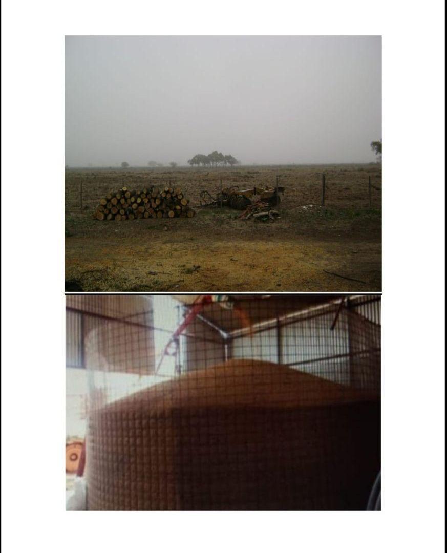 Foto de VENDO CAMPO - SOL DE JULIO - SANTIAGO, imagen 2