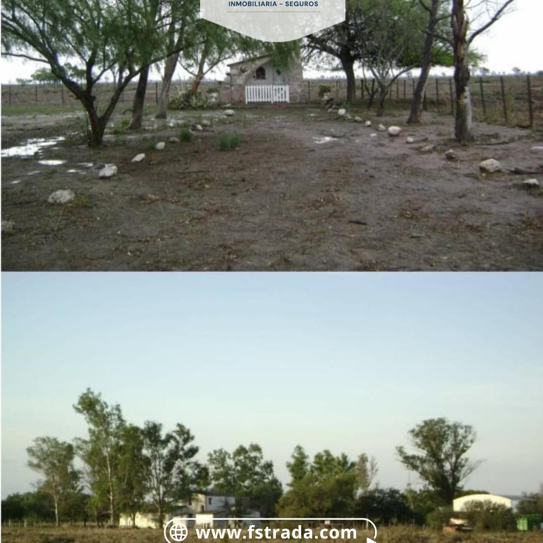 Foto de VENDO CAMPO - SOL DE JULIO - SANTIAGO, imagen 3