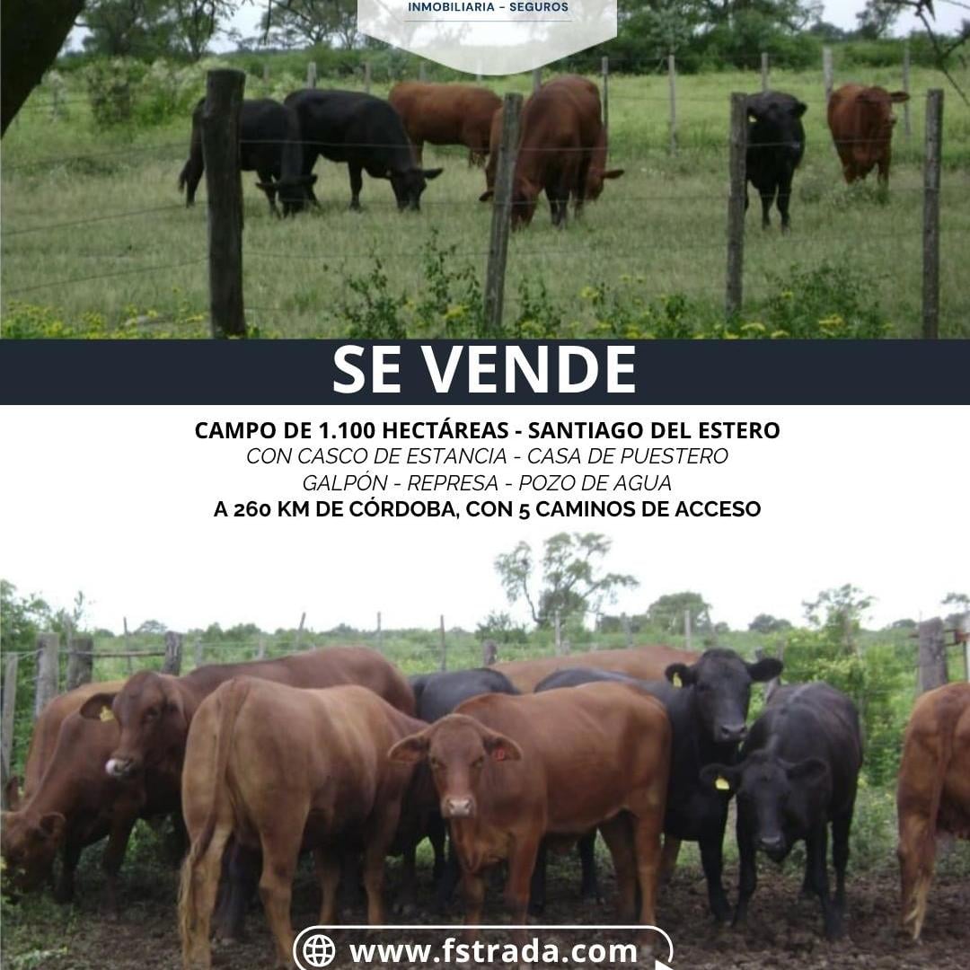 Foto de VENDO CAMPO - SOL DE JULIO - SANTIAGO, imagen 1