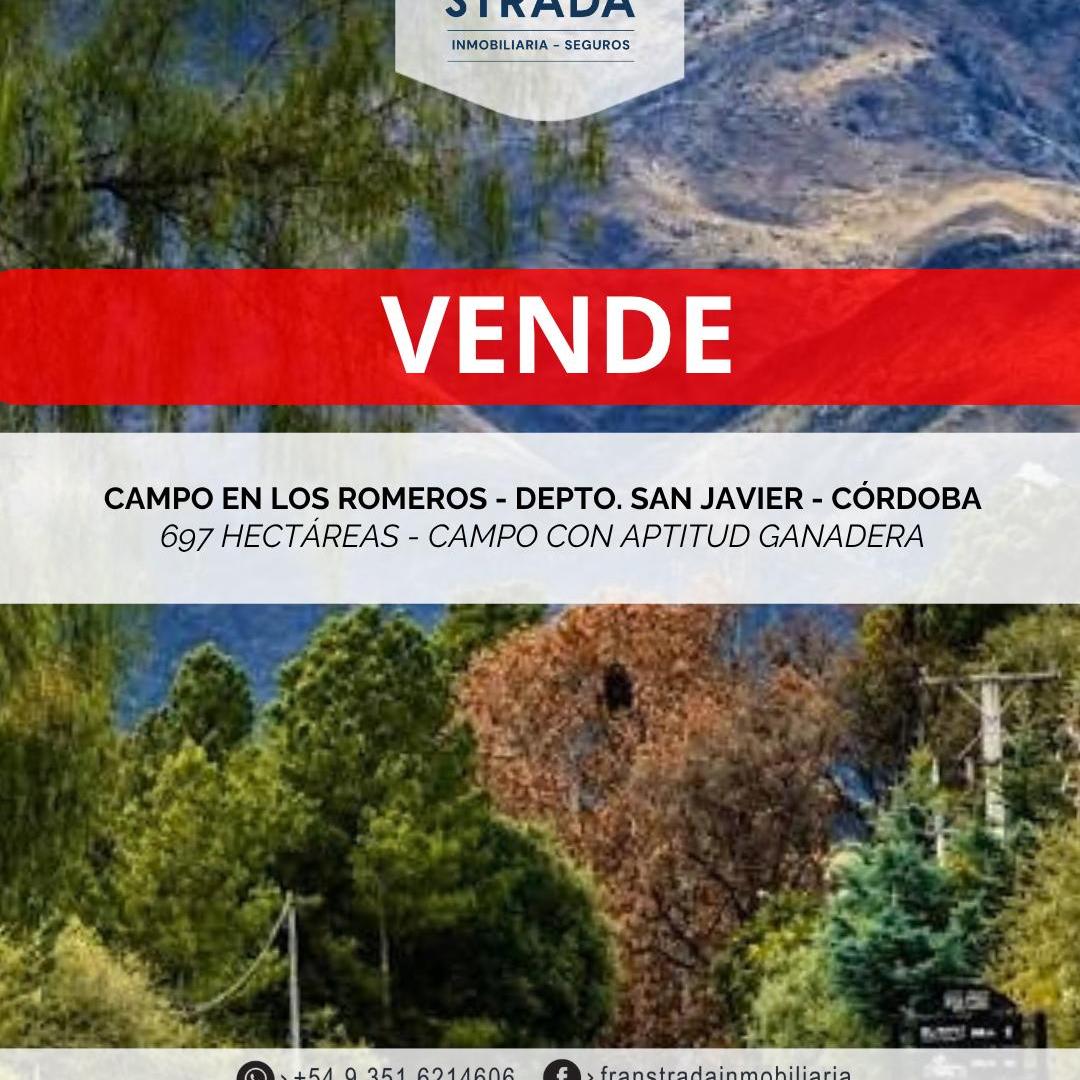 Foto de CAMPO EN VENTA EN CAPILLA DE LOS ROMEROS - PEDANIA LUYABA - DEPTO SAN, imagen 4