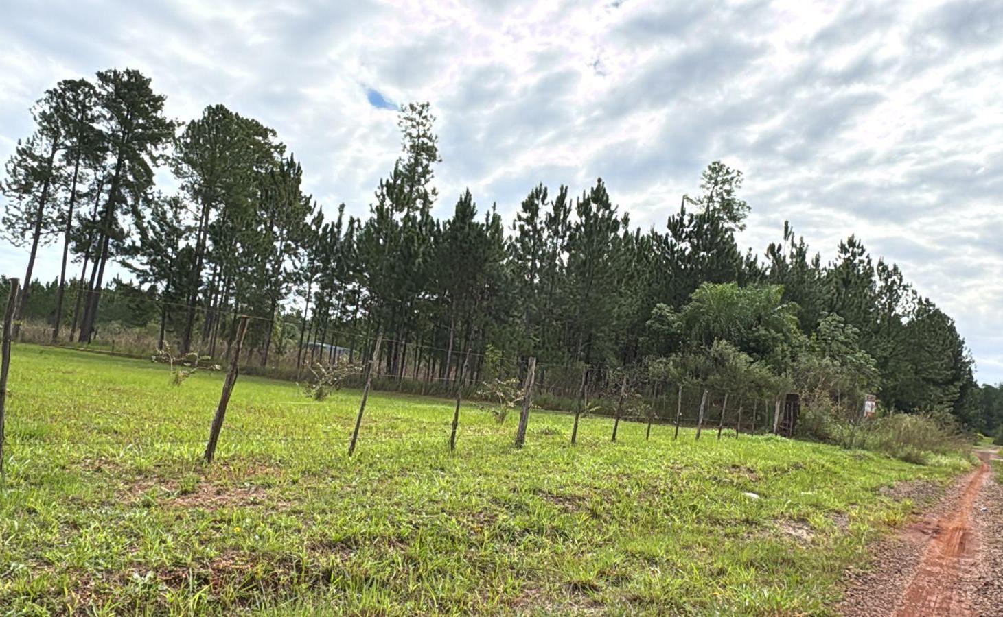 Foto de Terreno en Candelaria, imagen 2