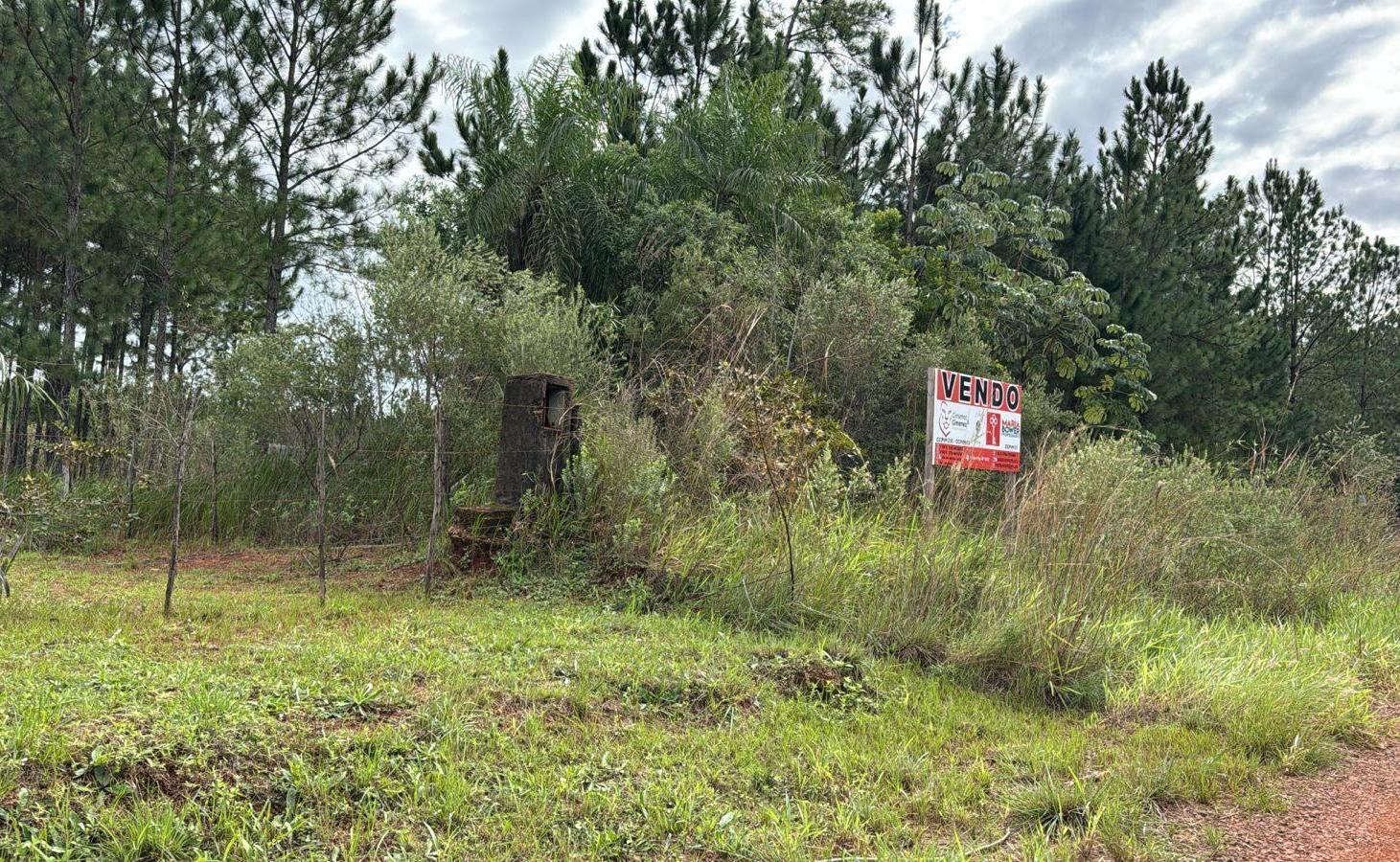 Foto de Terreno en Candelaria, imagen 3