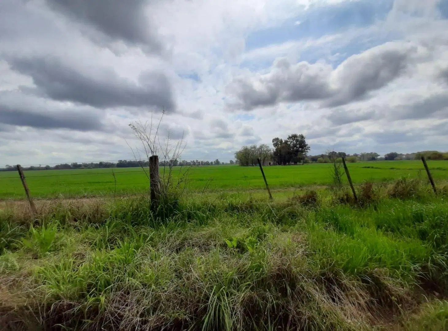 VENTA LOTE 20 DE JUNIO 5