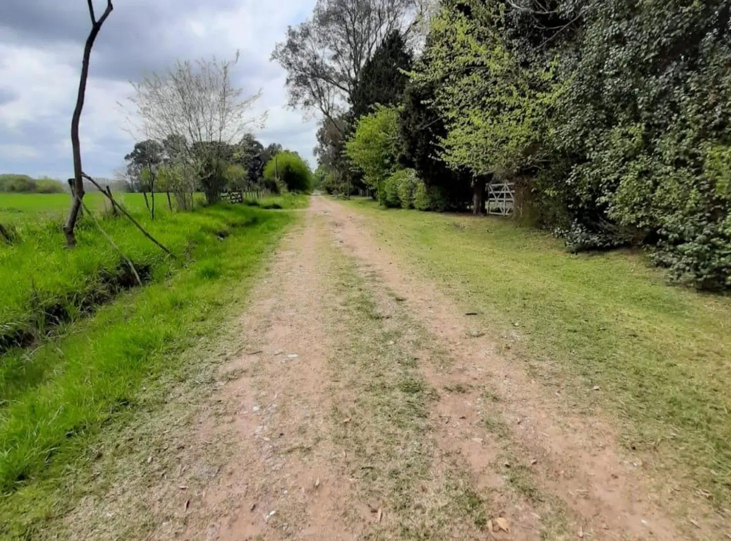 VENTA LOTE 20 DE JUNIO 5