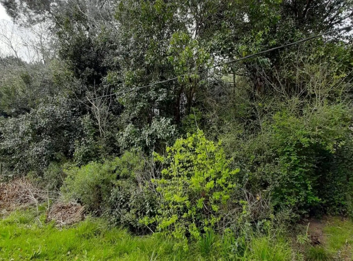 VENTA LOTE 20 DE JUNIO 3