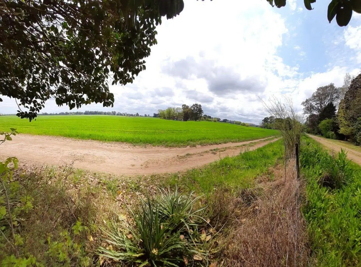 VENTA LOTE 20 DE JUNIO 2