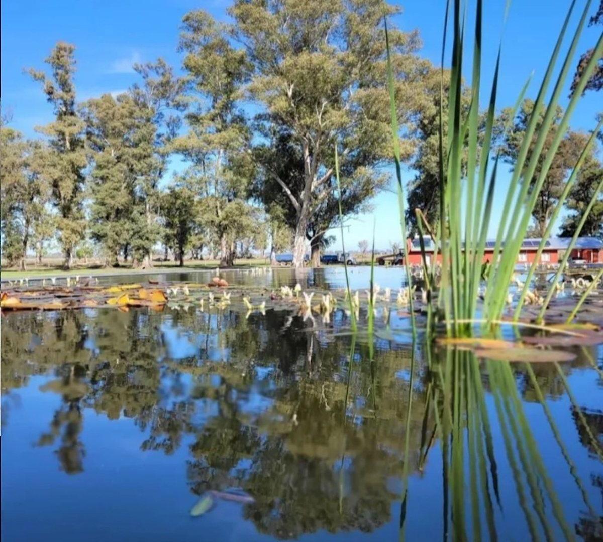 Foto de LOTE EN LOS TRES PINOS VILLA DE CAMPO BARRIO ISLA, imagen 1