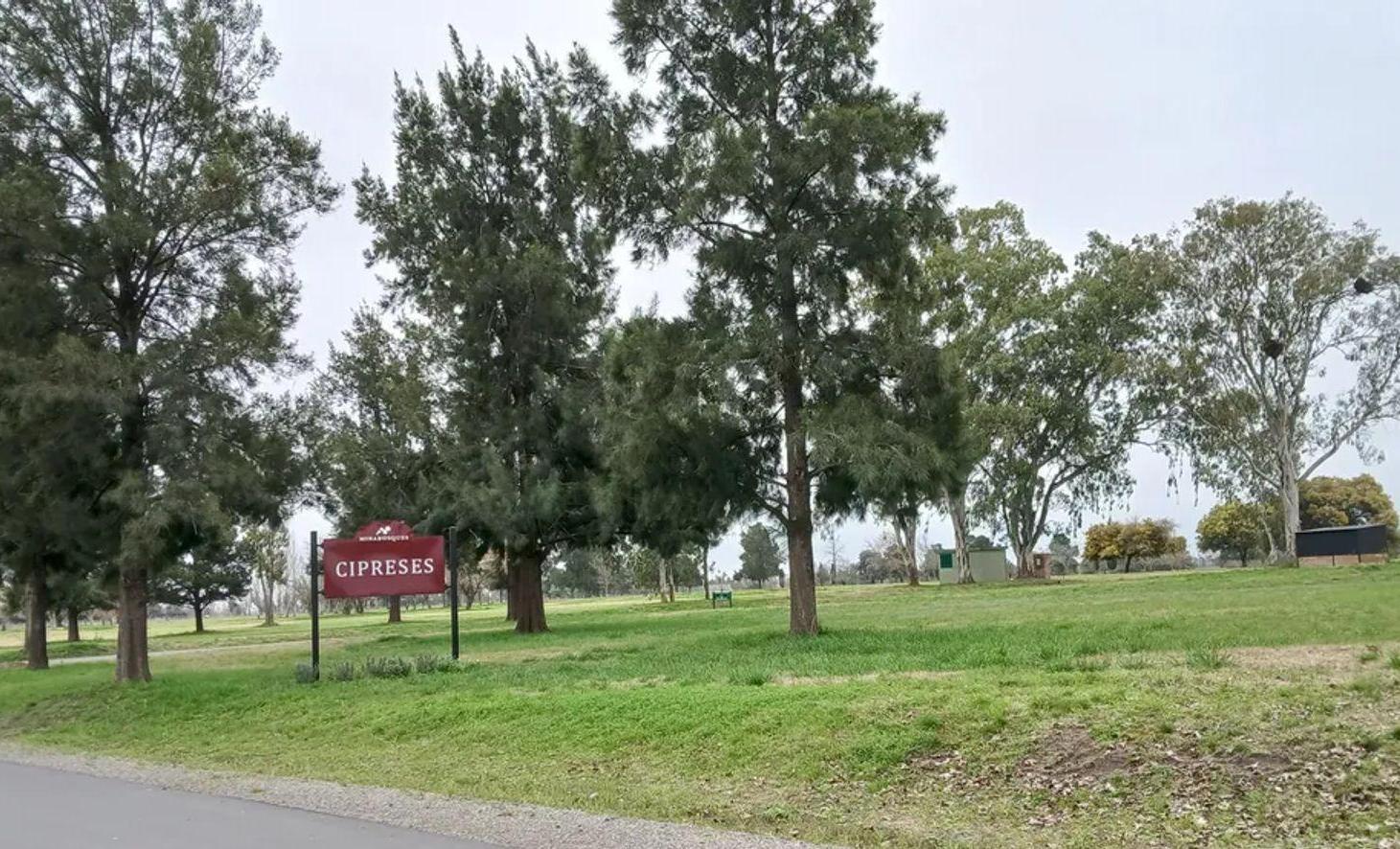 Foto de VENTA LOTE BARRIO PRIVADO MIRABOSQUES CARDALES, imagen 4