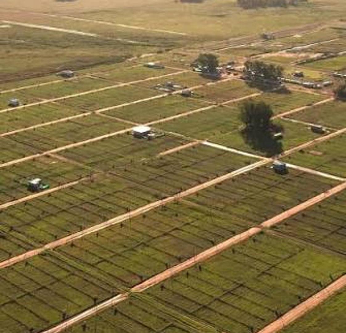 Foto de LOTE EN VENTA en "LA RESERVA DEL OESTE", imagen 3