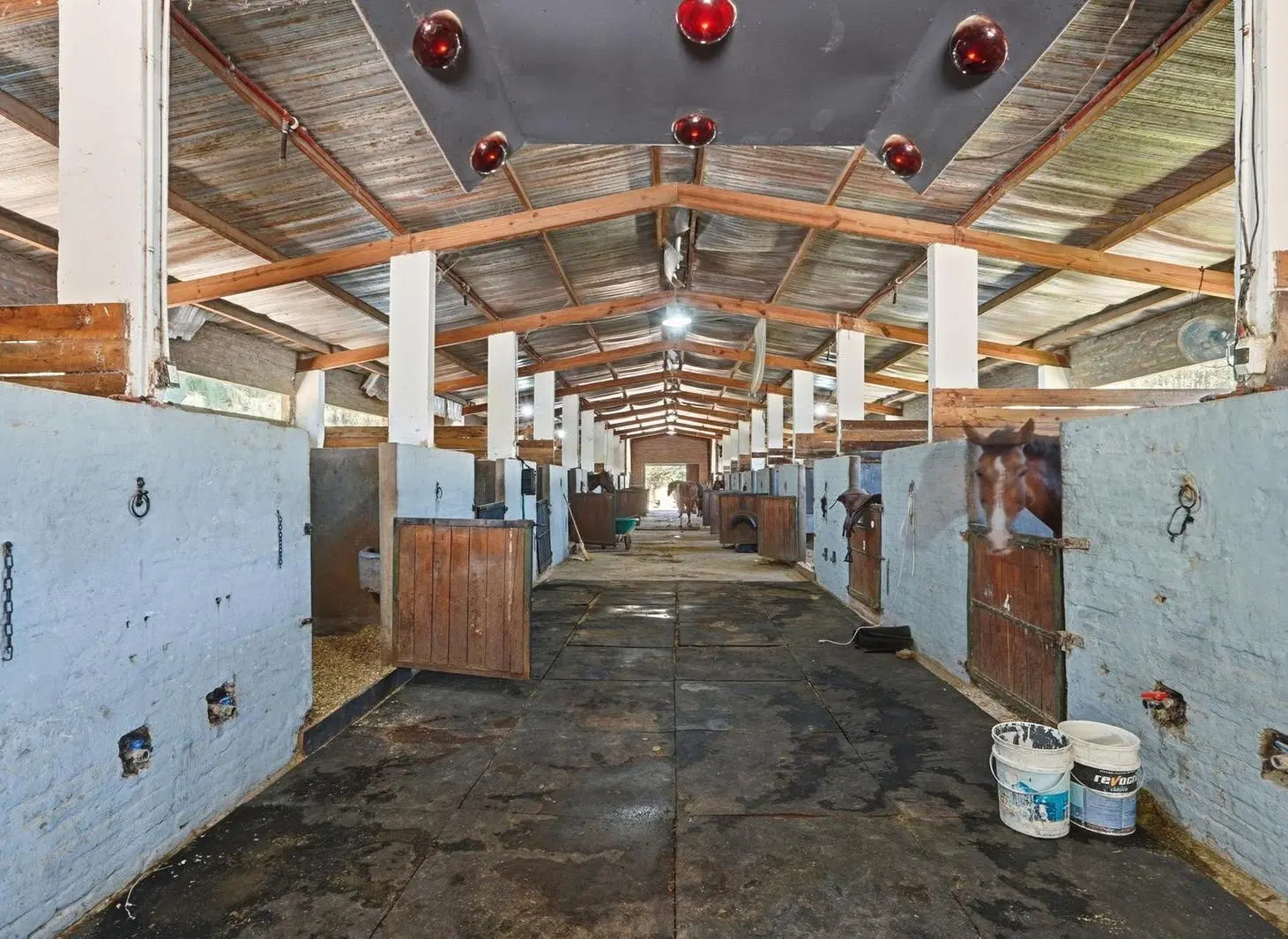 VENDE HIPICO DE 10 HECTAREAS EN FRANCISCO ALVAREZ MORENO 5