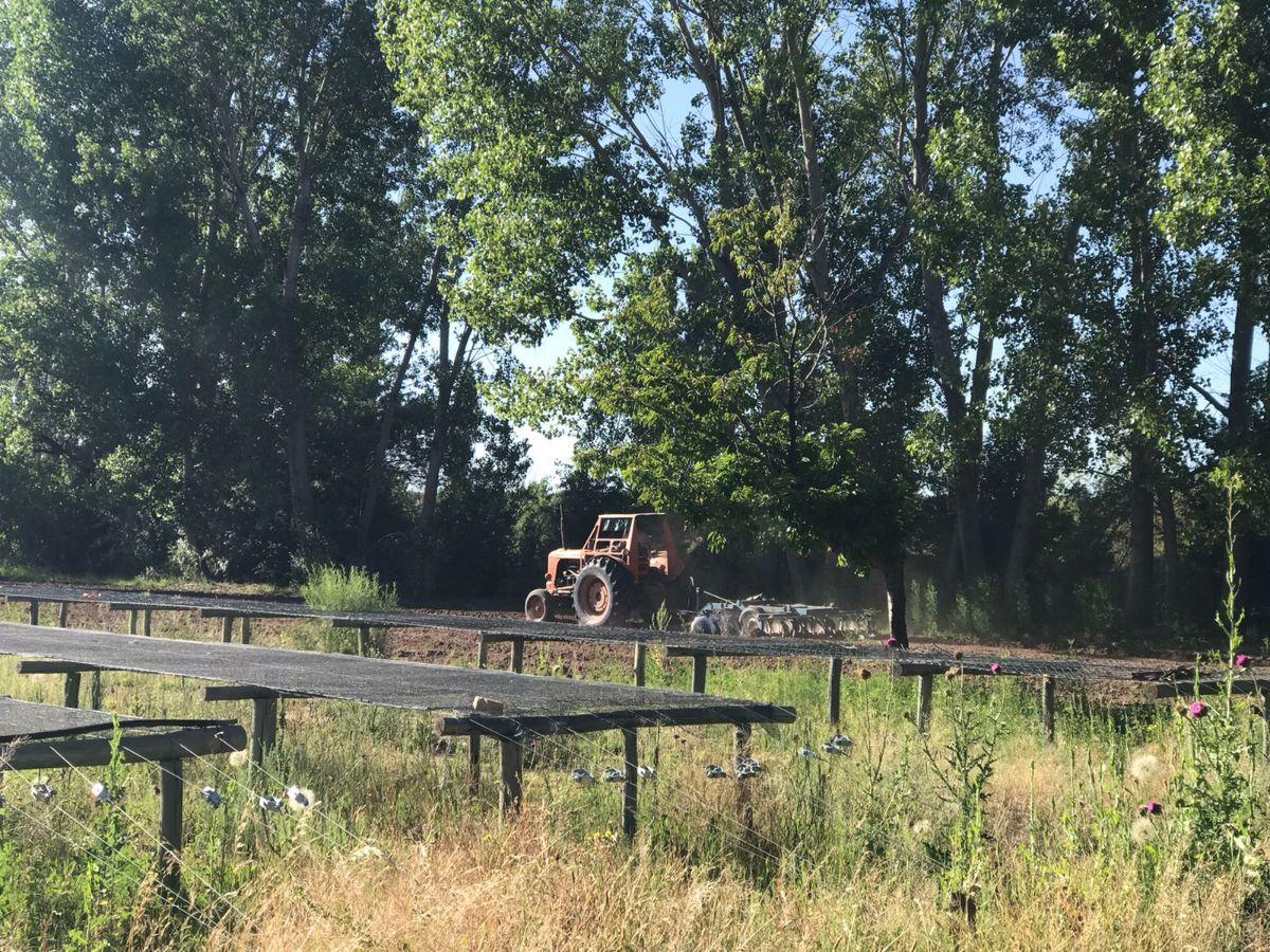 Foto de Campo productivo de 14ha en San Rafael, imagen 2