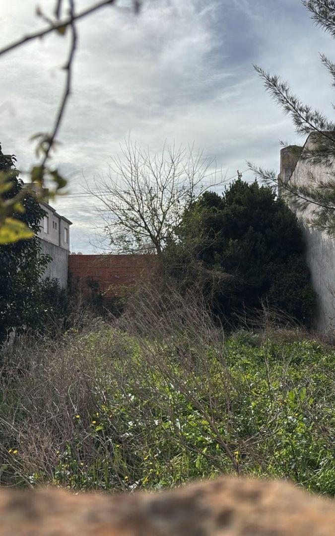Foto de Lote en venta Strobel y Jara. U$S 140.000, imagen 5