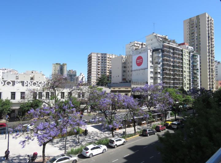 ALQUILA DUEÑO DEPARTAMENTO EN PRIMERA JUNTA 4