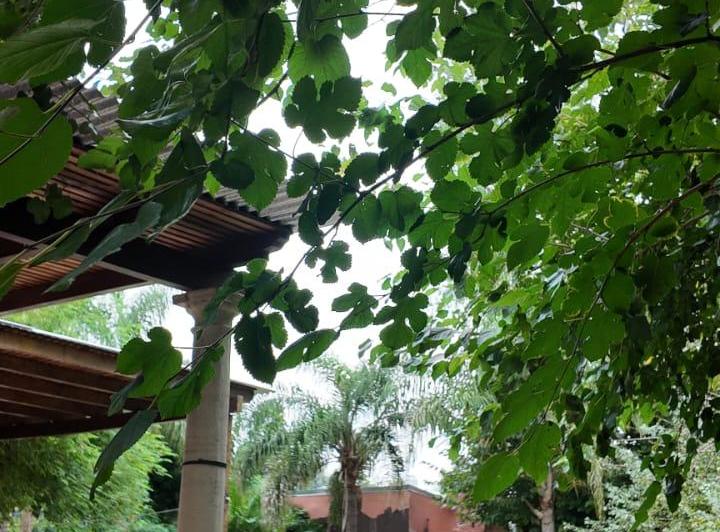 Casa Familiar Con Amplio Parque y Pileta en Bella Vista 5