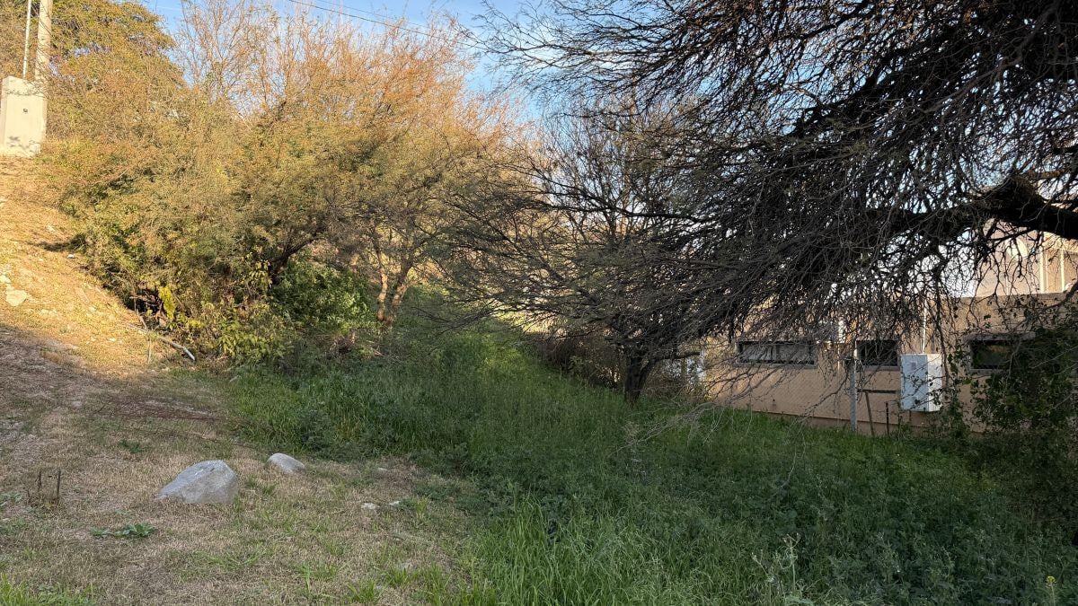Foto de Oportunidad Terreno en barrio consolidado | Excelente oportunidad de, imagen 4
