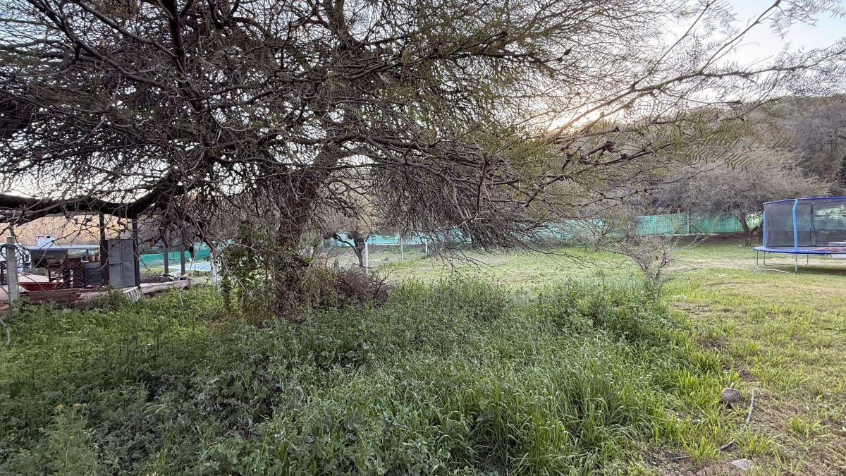 Foto de Oportunidad Terreno en barrio consolidado | Excelente oportunidad de, imagen 1