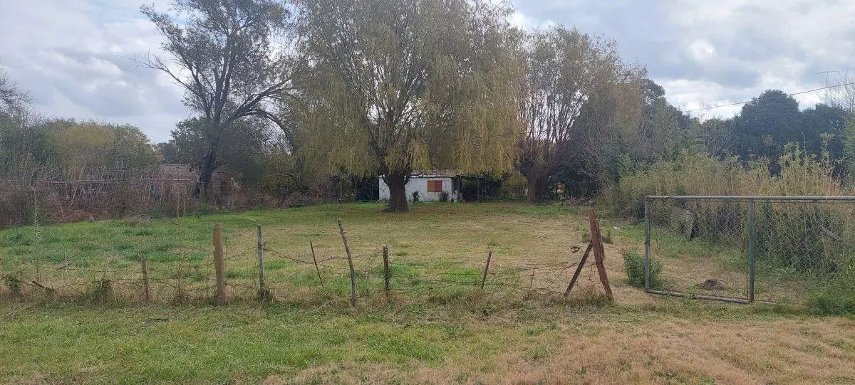 VENTA DE CASA EN CASTILLA - PARTIDO DE CHACABUCO - BS AS 2