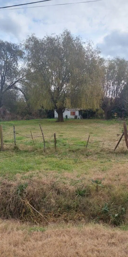 VENTA DE CASA EN CASTILLA - PARTIDO DE CHACABUCO - BS AS 1
