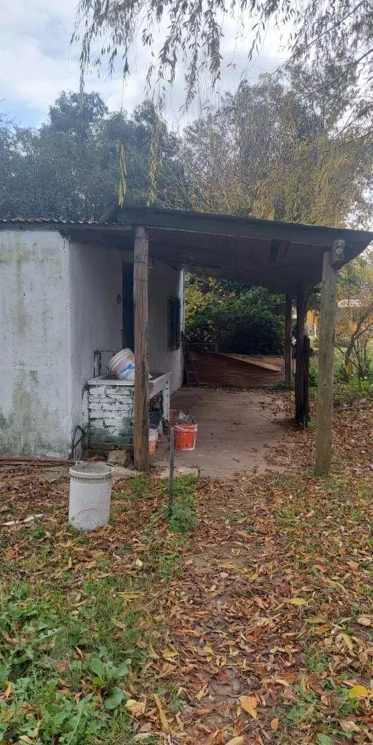 VENTA DE CASA EN CASTILLA - PARTIDO DE CHACABUCO - BS AS 4