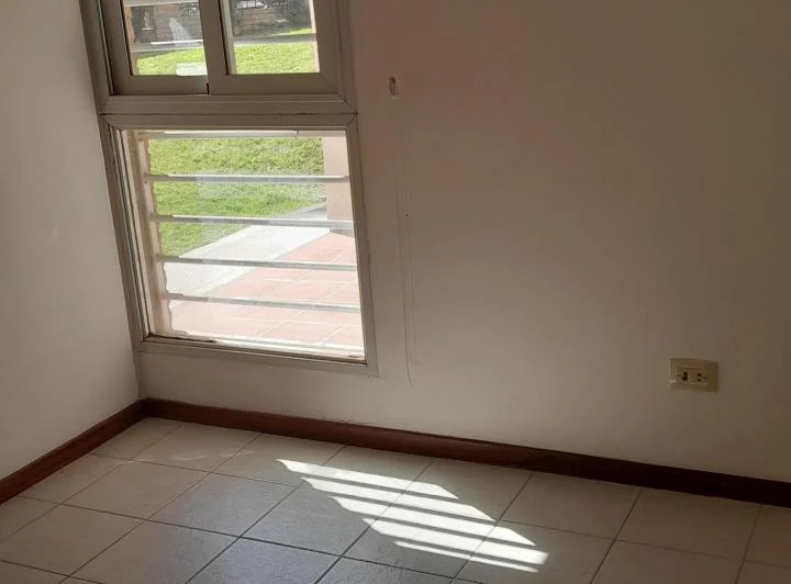 milenica universitaria 2